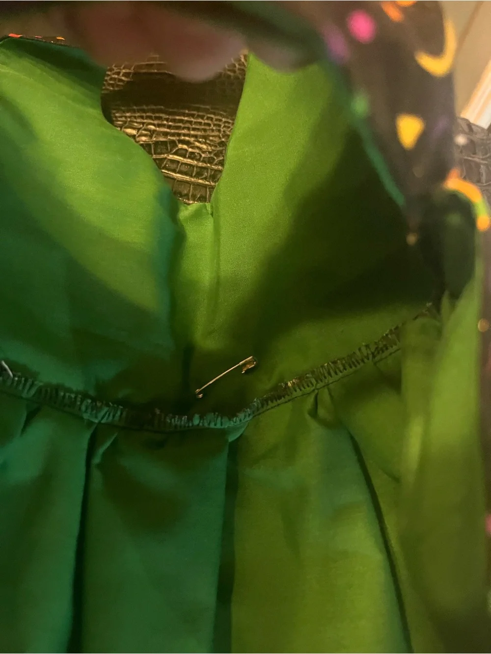 NNW Handmade Dog/Cat Unisex Mardi Gras Pet Costume